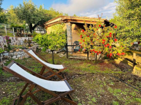 Le Casette di Nino Marina Di Camerota